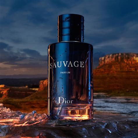 parfum dior sauvage 100 ml|Dior Sauvage Parfum prix.